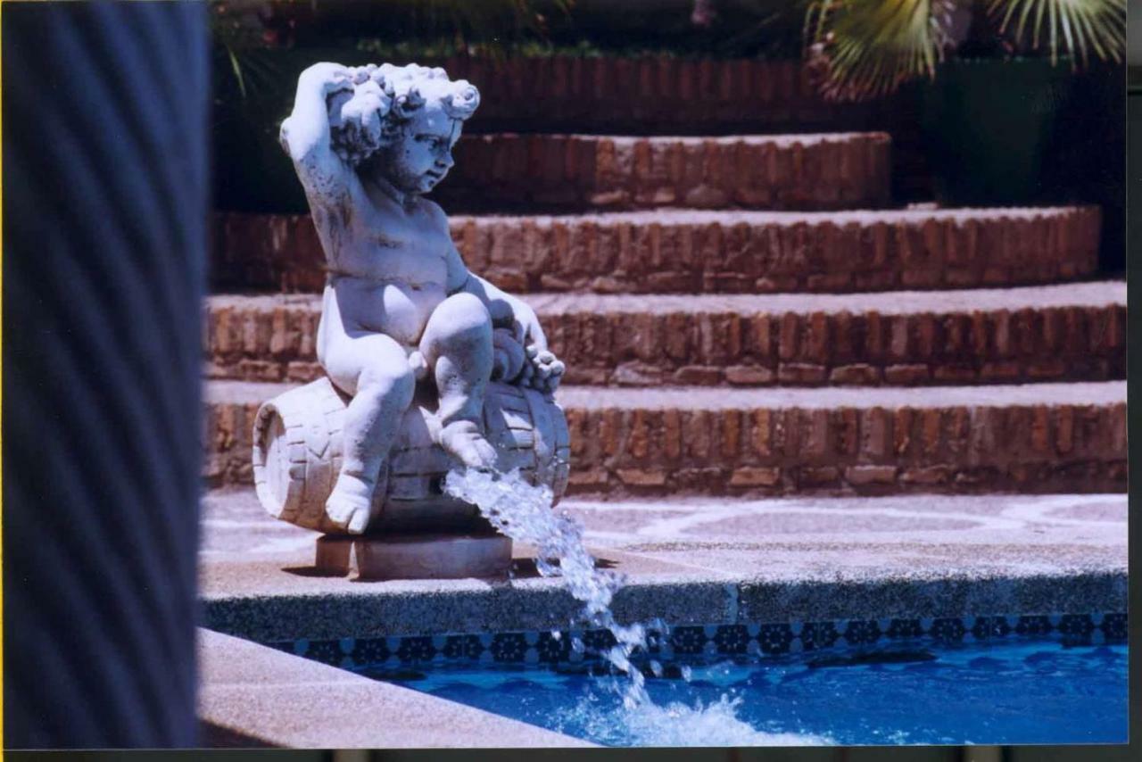 Villa Del Manzano ビジャヌエバ・デル・アリスカル エクステリア 写真